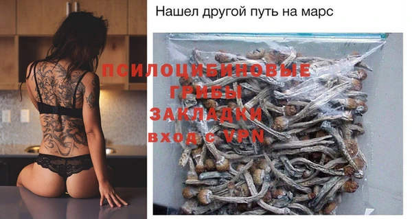прущая мука Арсеньев