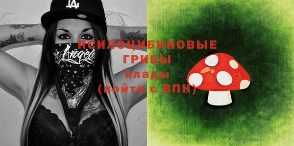 прущая мука Арсеньев